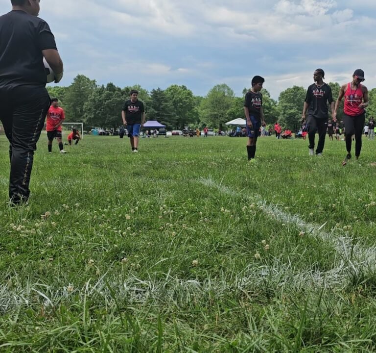 Soccer Field image 2