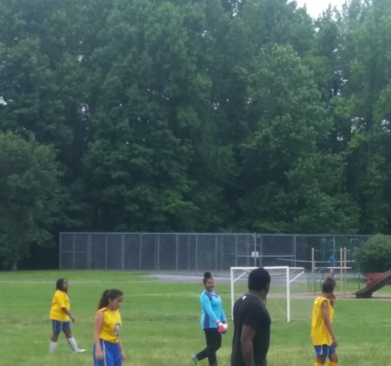 Soccer Field image 3