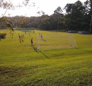 Soccer Field image 3