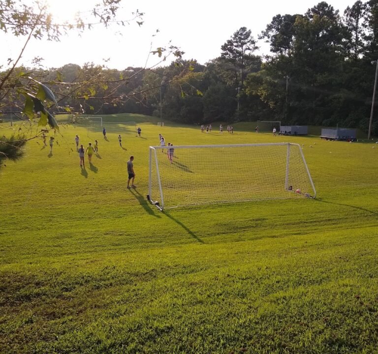 Soccer Field image 3