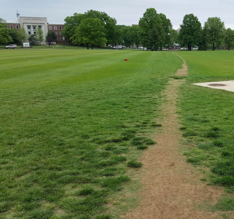 Soccer Field image 2