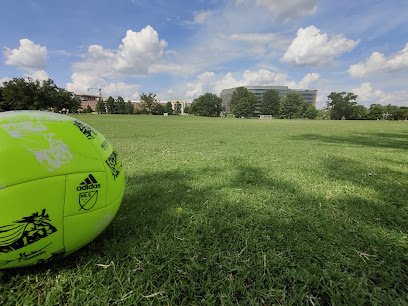 Soccer Field image 1