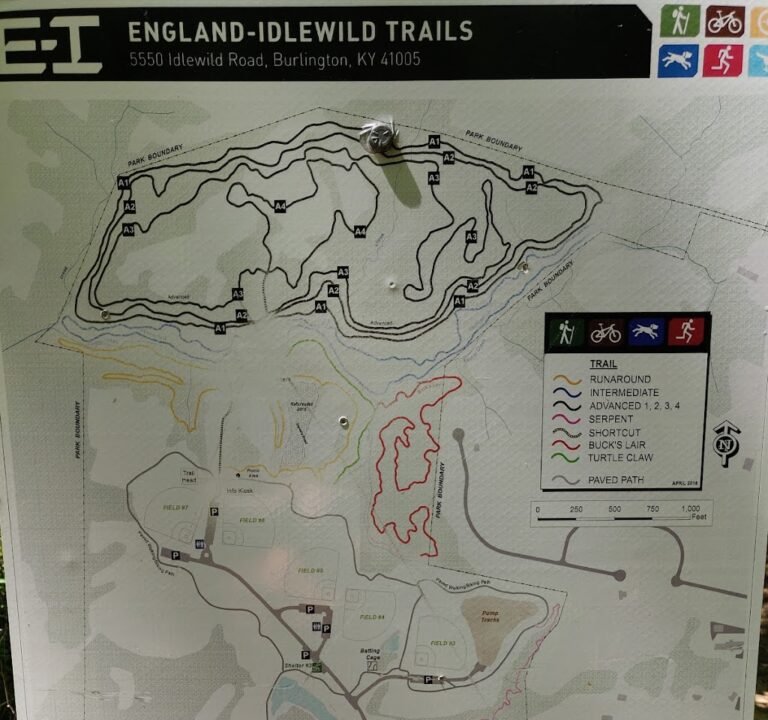 Soccer Field image 3