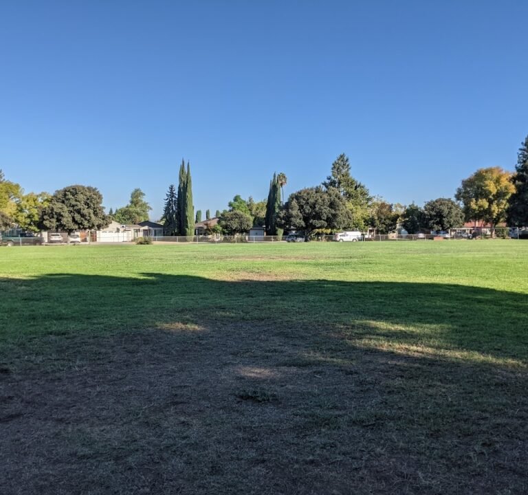 Soccer Field image 2