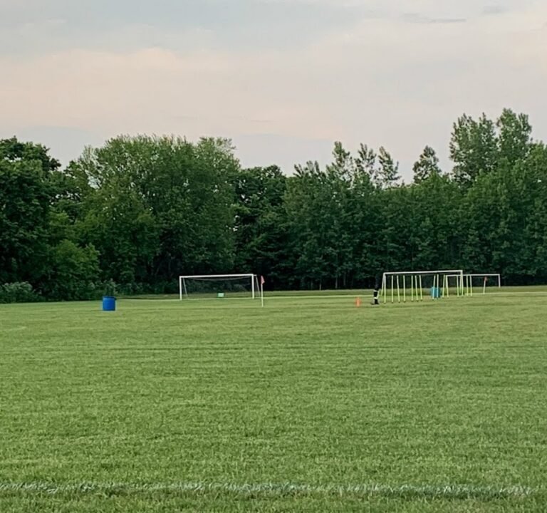 Soccer Field image 3