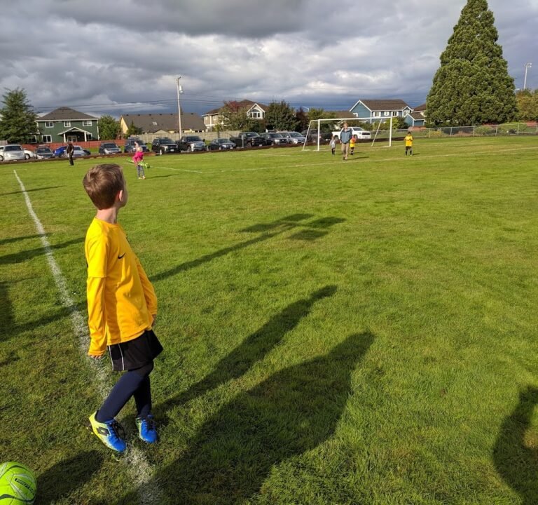 Soccer Field image 3