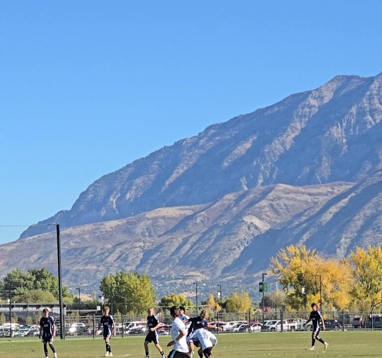 Soccer Field image 3