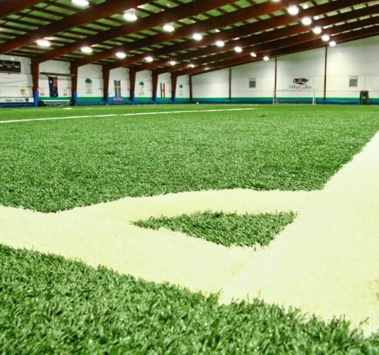 Soccer Field image 2