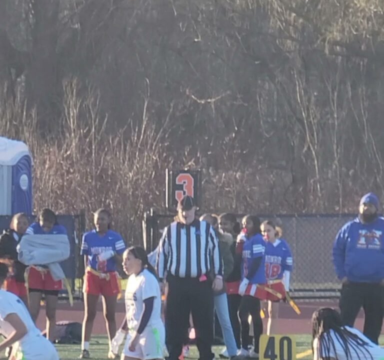 Soccer Field image 3