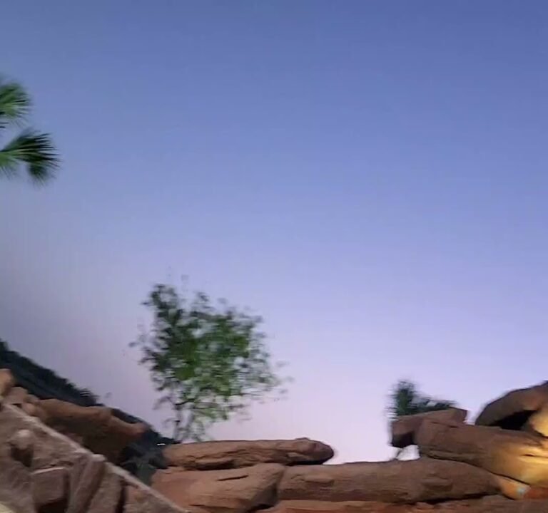 Soccer Field image 3