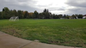 Soccer Field image 1