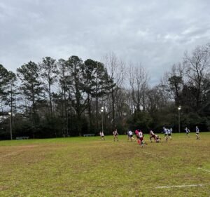 Soccer Field image 2