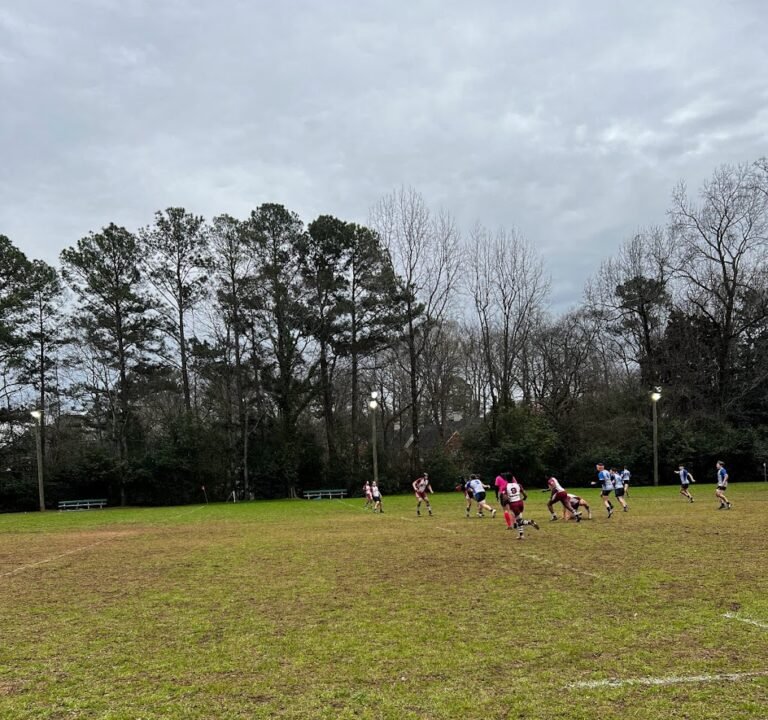 Soccer Field image 2