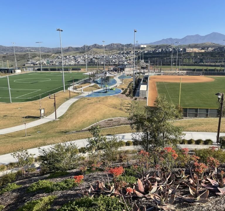 Soccer Field image 2