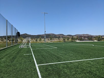 Soccer Field image 1