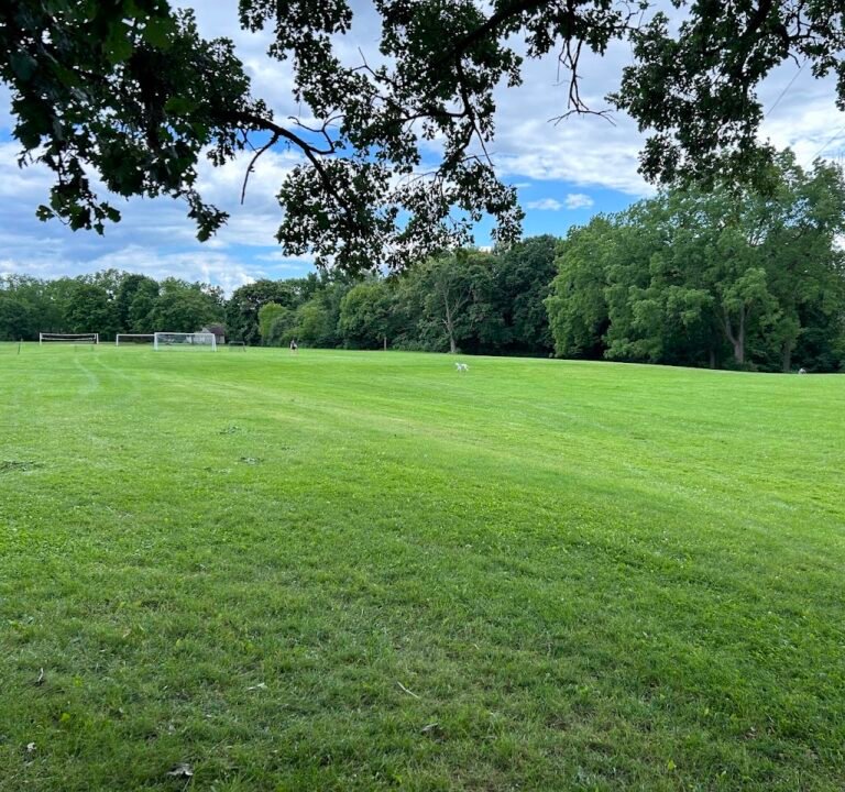 Soccer Field image 2