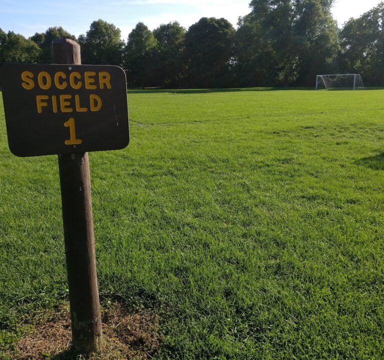 Soccer Field image 2