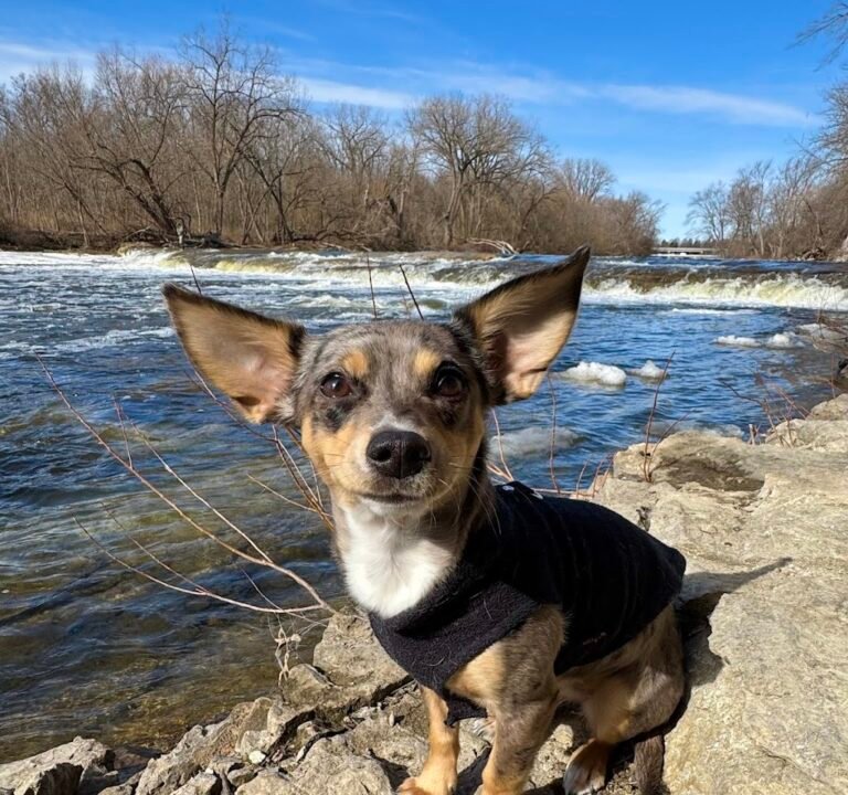 Soccer Field image 3