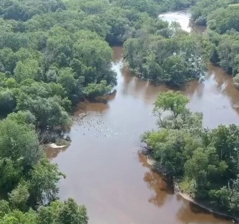 Soccer Field image 4