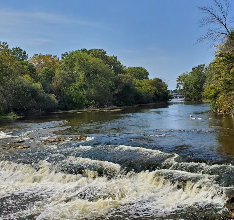 Soccer Field image 2