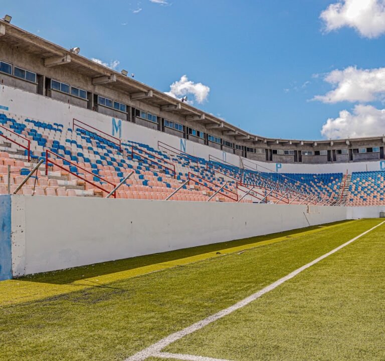 Soccer Field image 2