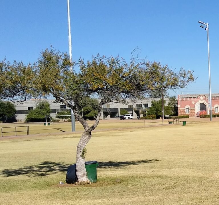 Soccer Field image 2