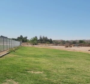 Soccer Field image 4