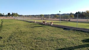Soccer Field image 1