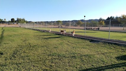 Soccer Field image 1