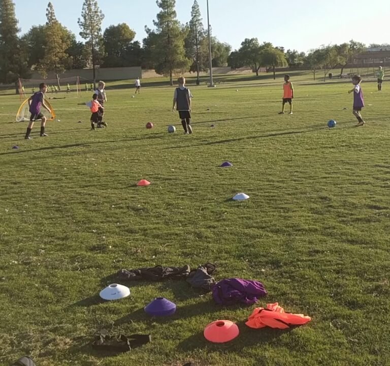 Soccer Field image 4