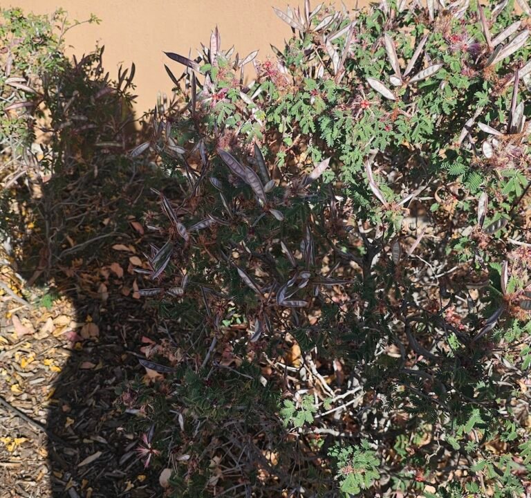 Soccer Field image 3