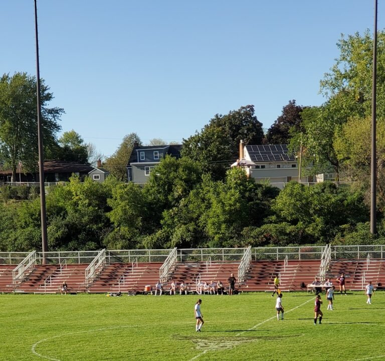 Soccer Field image 2