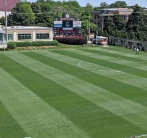 Soccer Field image 2