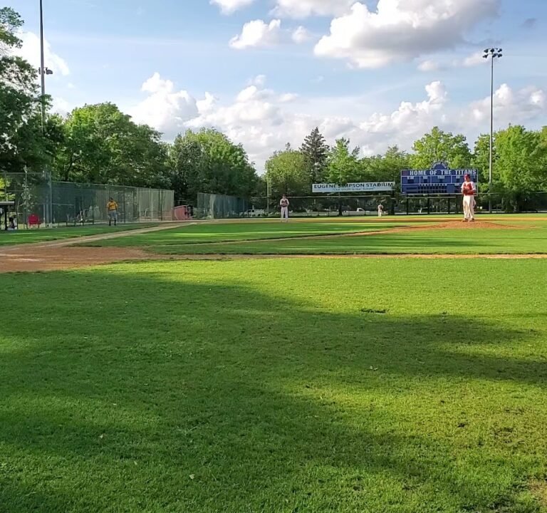 Soccer Field image 4