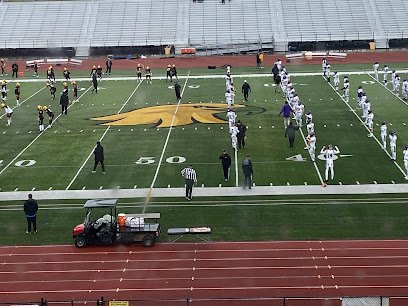 Soccer Field image 1