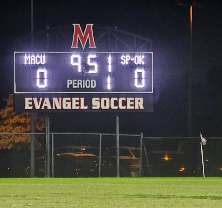 Soccer Field image 2