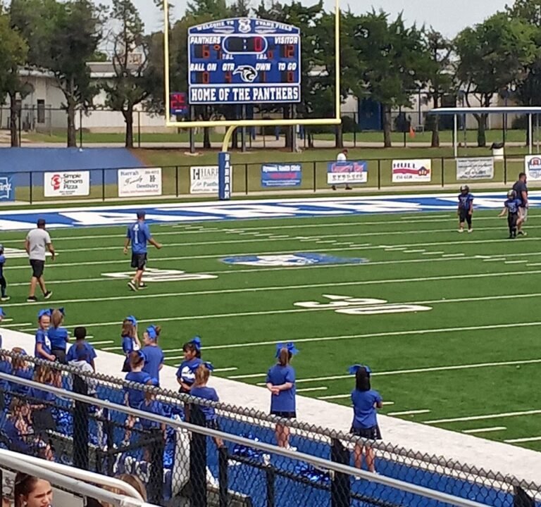 Soccer Field image 2