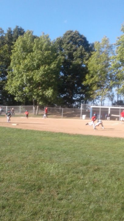 Soccer Field image 1