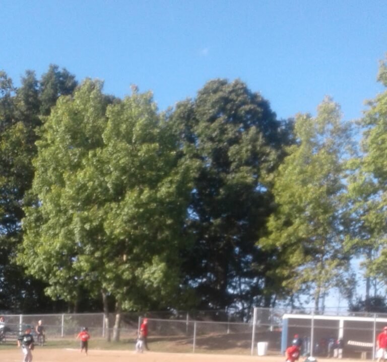 Soccer Field image 2