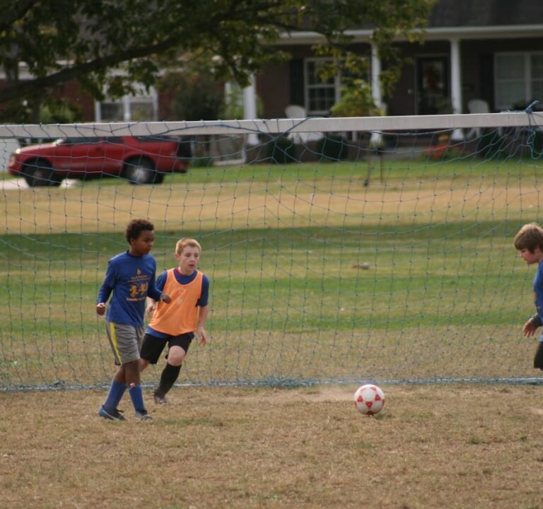 Soccer Field image 3