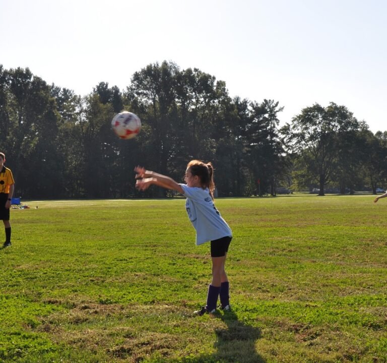 Soccer Field image 2