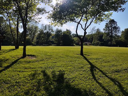 Soccer Field image 1