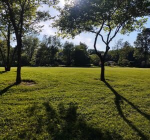 Soccer Field image 2