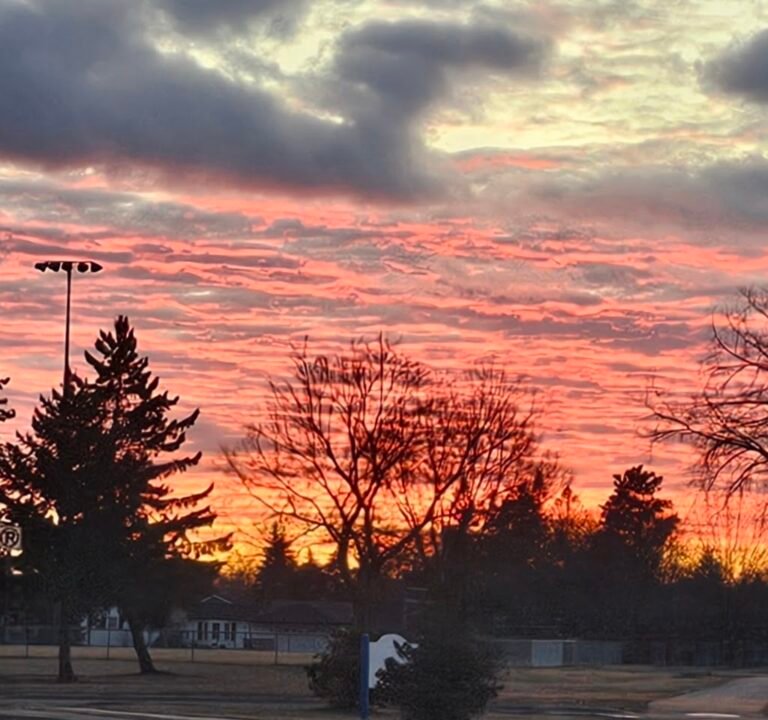 Soccer Field image 2