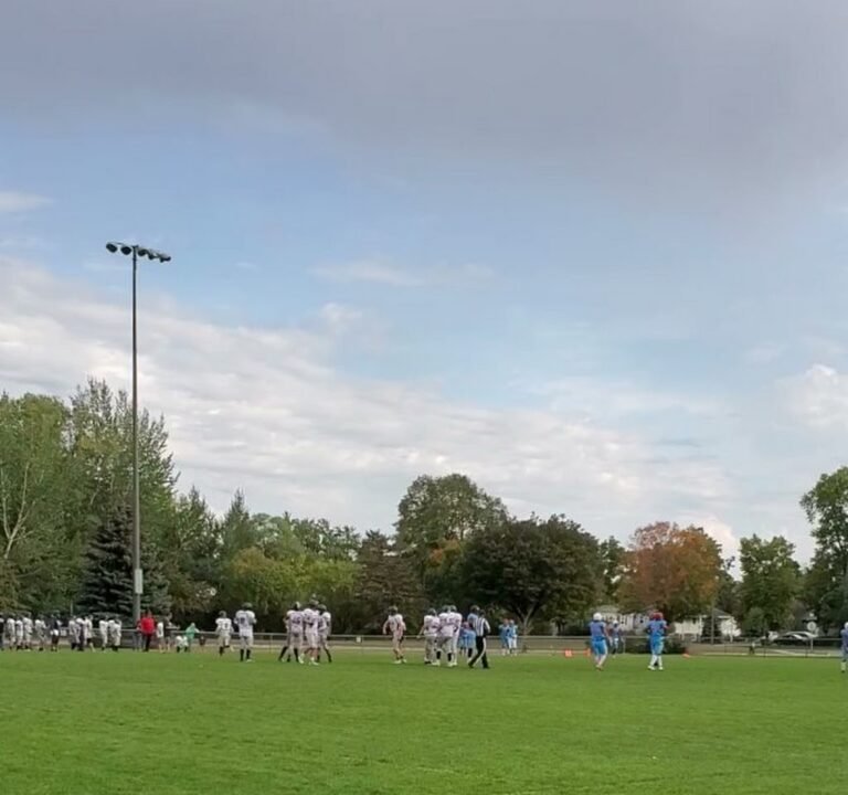 Soccer Field image 3