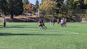 Soccer Field image 1