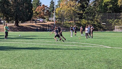 Soccer Field image 1
