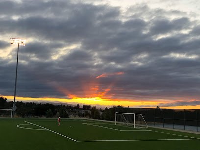 Soccer Field image 1