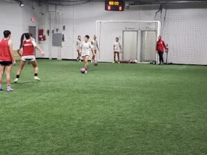 Soccer Field image 1
