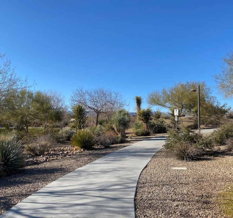 Soccer Field image 2